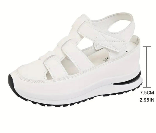 ZAPATOS NOVASTEP 🤩Eleva tu actitud, no solo tu altura🤩